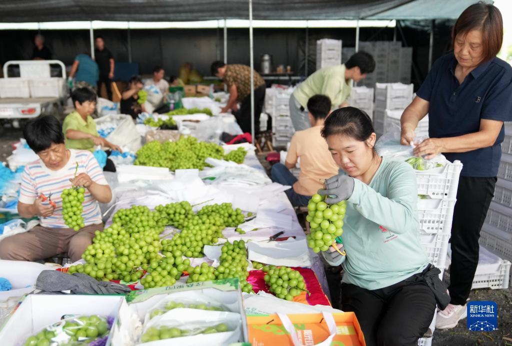 大奖网彩票登录